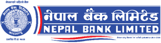 13 logo