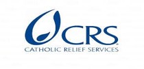 14 logo