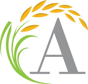 24 logo